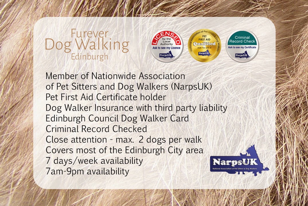 Contact / Furever Dog Walker Edinburgh Scotland Furever Dog Walker Edinburgh Scotland