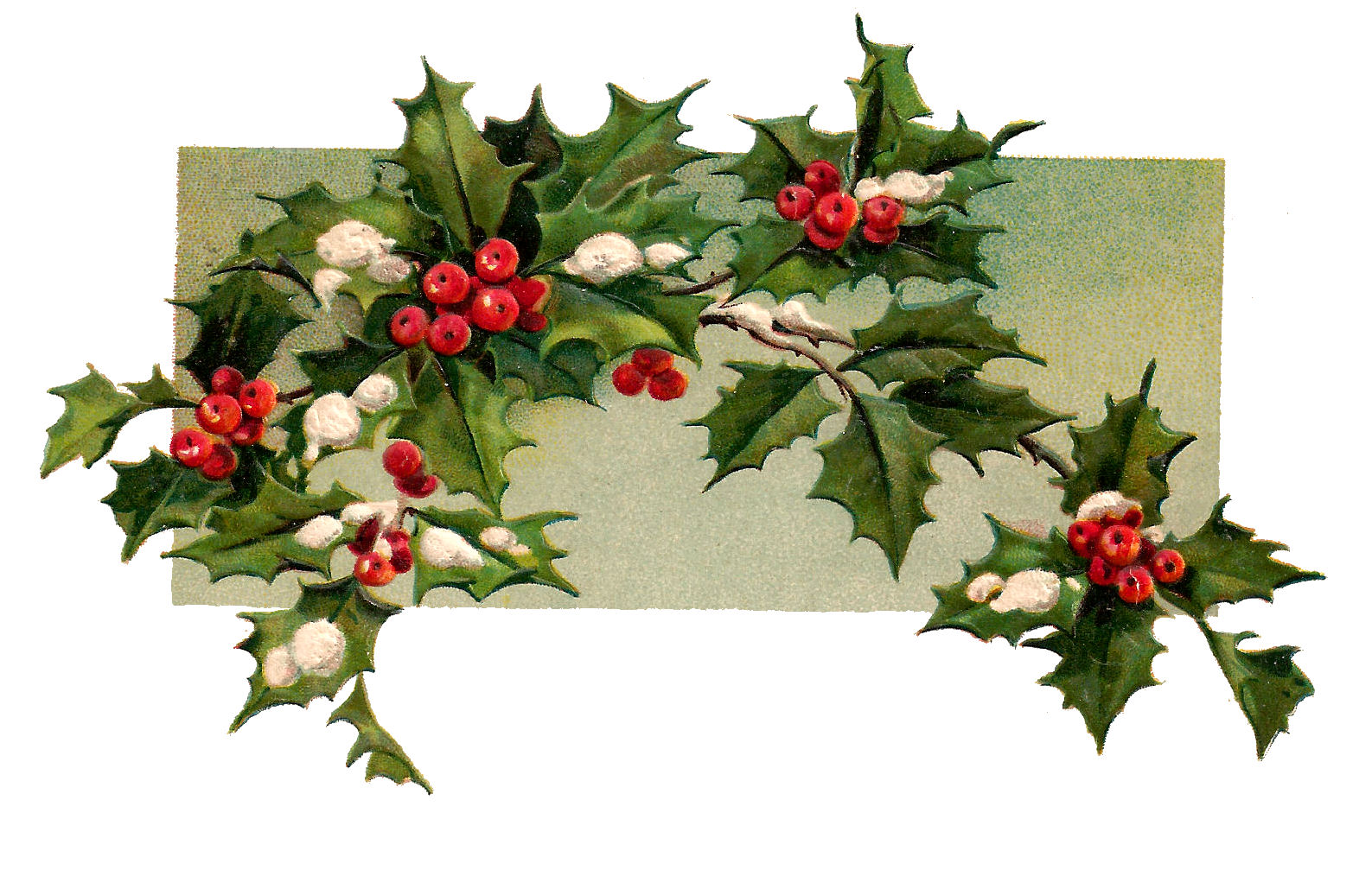 The Graphics Monarch Free Digital Christmas Holly Design Element Printable Project Idea