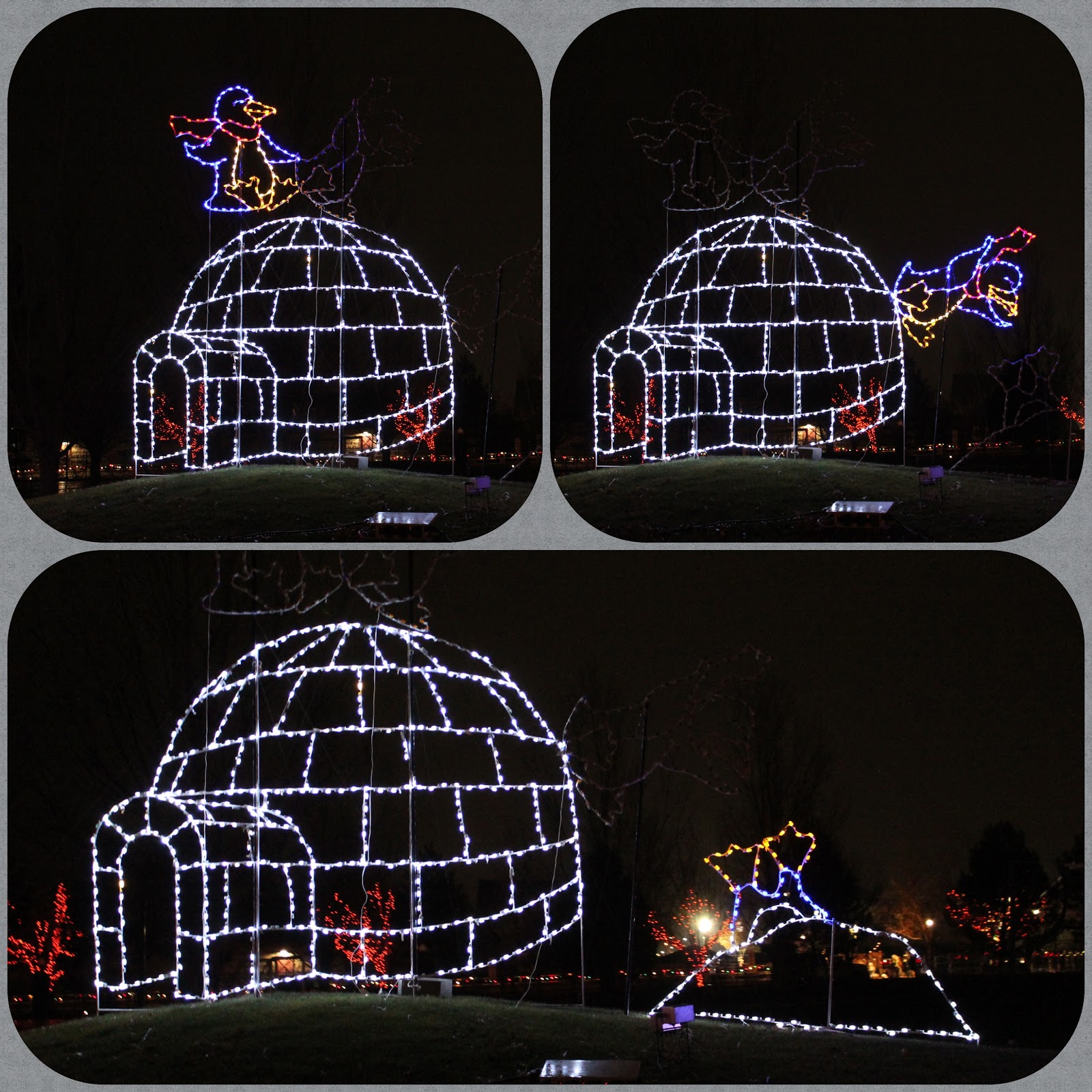 Jen's Updates Holiday Lights at Thanksgiving Point