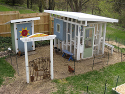 ultimate farm bucket coop featured chicken