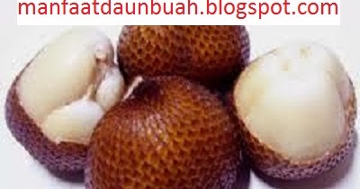 Manfaat dan Khasiat Buah Salak untuk Kesehatan Tubuh