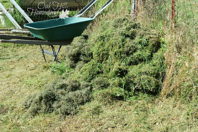 A green metal wheelbarrow next to a huge pile of green lawn clippings to be added to a compost pile.
