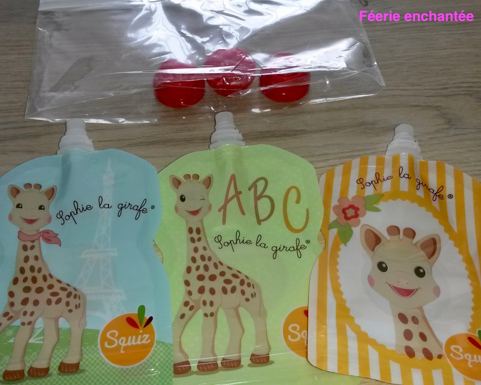 FEERIE ENCHANTEE DE LA COMPOTE MAISON EN GOURDE