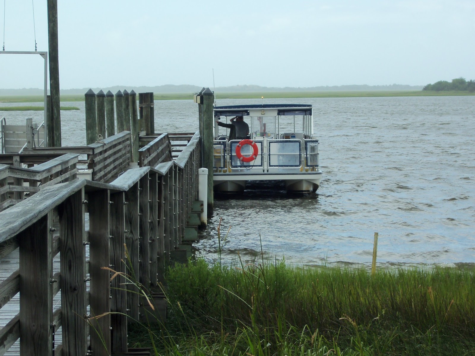 Novel Notions July 2013