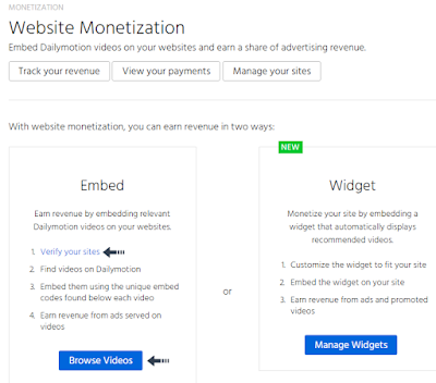 website monetization