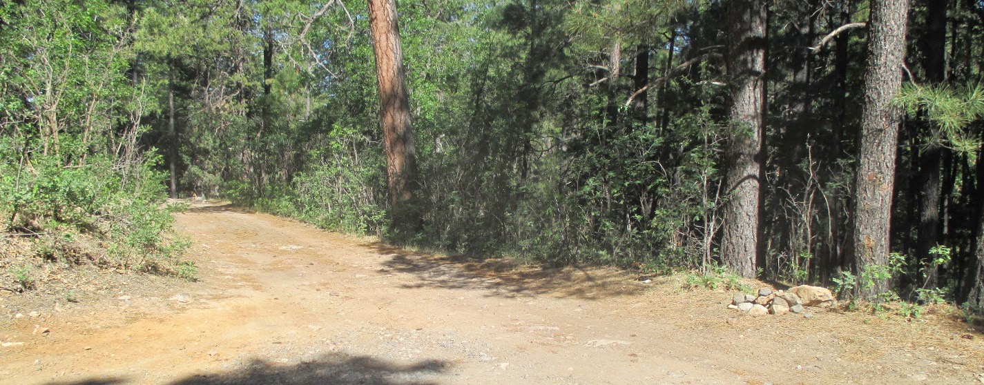 What's Up with Ellis Exploring Pivot Rock Spring Cave