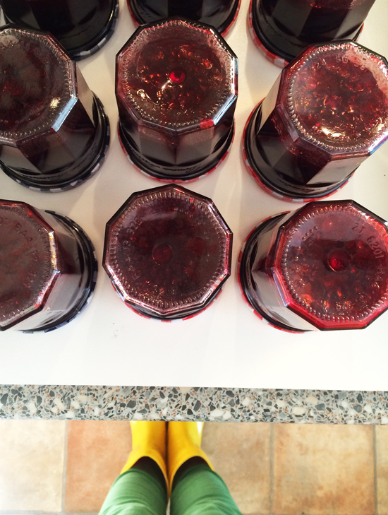 binedoro Blog, Brombeer-Gelee einkochen, Küche, kochen, Marmelade, Brombeeren, Beeren, Ernte binedoro Blog, Brombeer-Gelee einkochen, Küche, kochen, Marmelade, Brombeeren, Beeren, Ernte