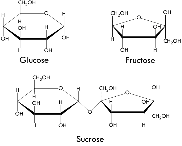 A D Галактофураноза. Glucose and Fructose. Галактофураноза формула. Д фруктоза.