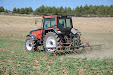 Harrowing sunflowers