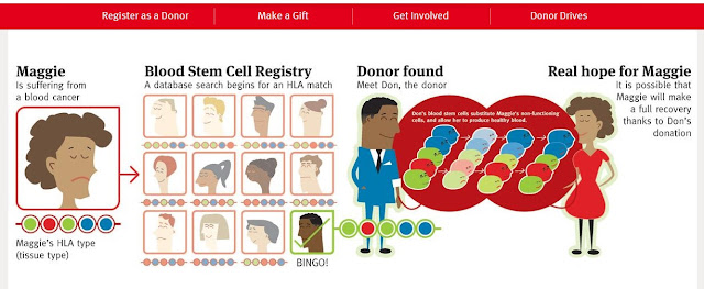 blood stem cell registry process