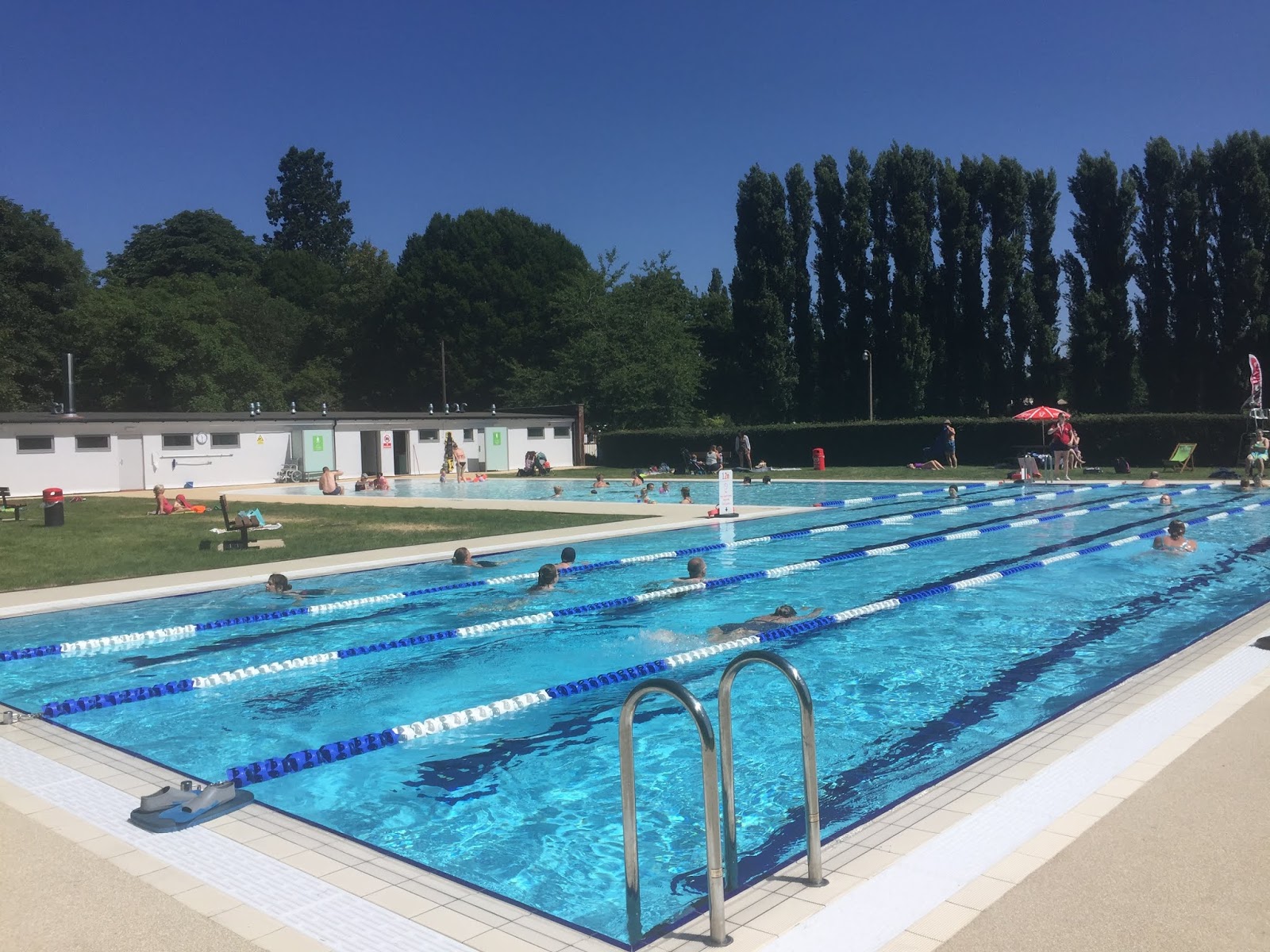the meadows pool
