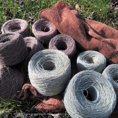 corso tintura naturale cotone lino canapa robbia guado indaco filati naturali corsi tintura naturale cotone lino canapa