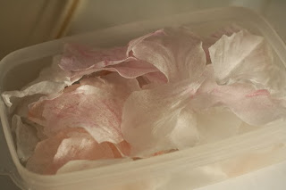 How to make wafer paper peonies
