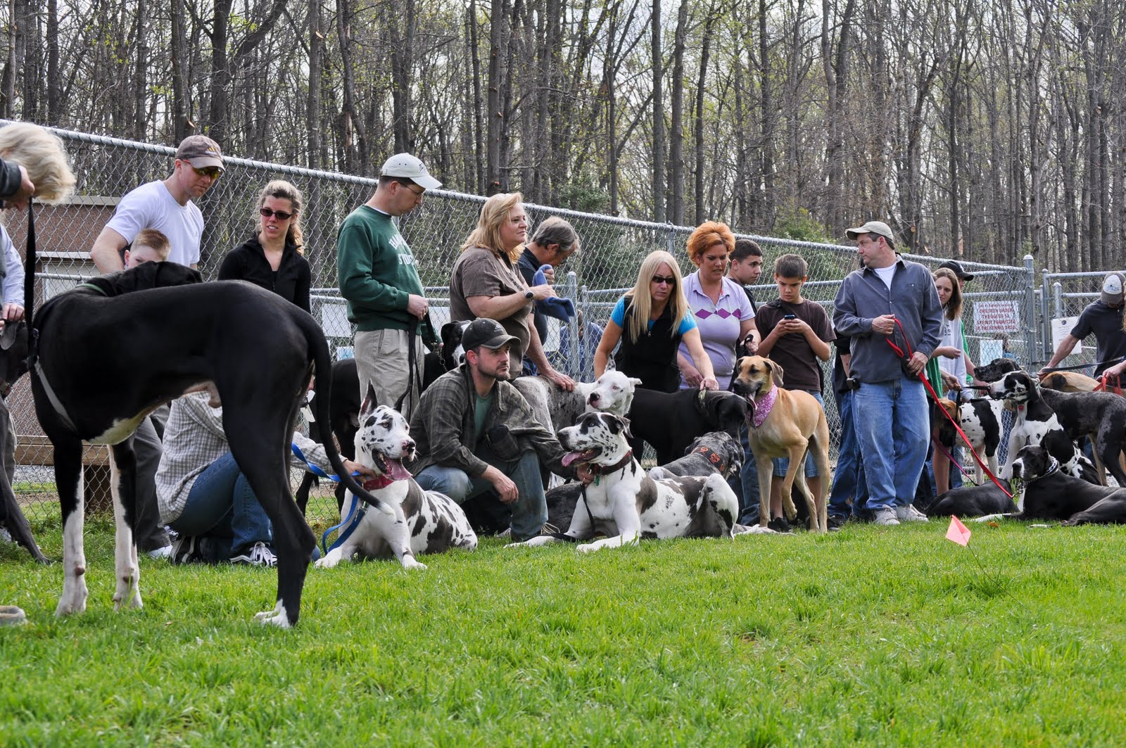 WRIR LP 97.3 FM Richmond Independent Radio News Sunday was Dane Day