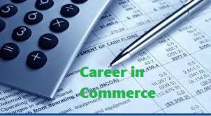 Career in Commerce Career After 12th