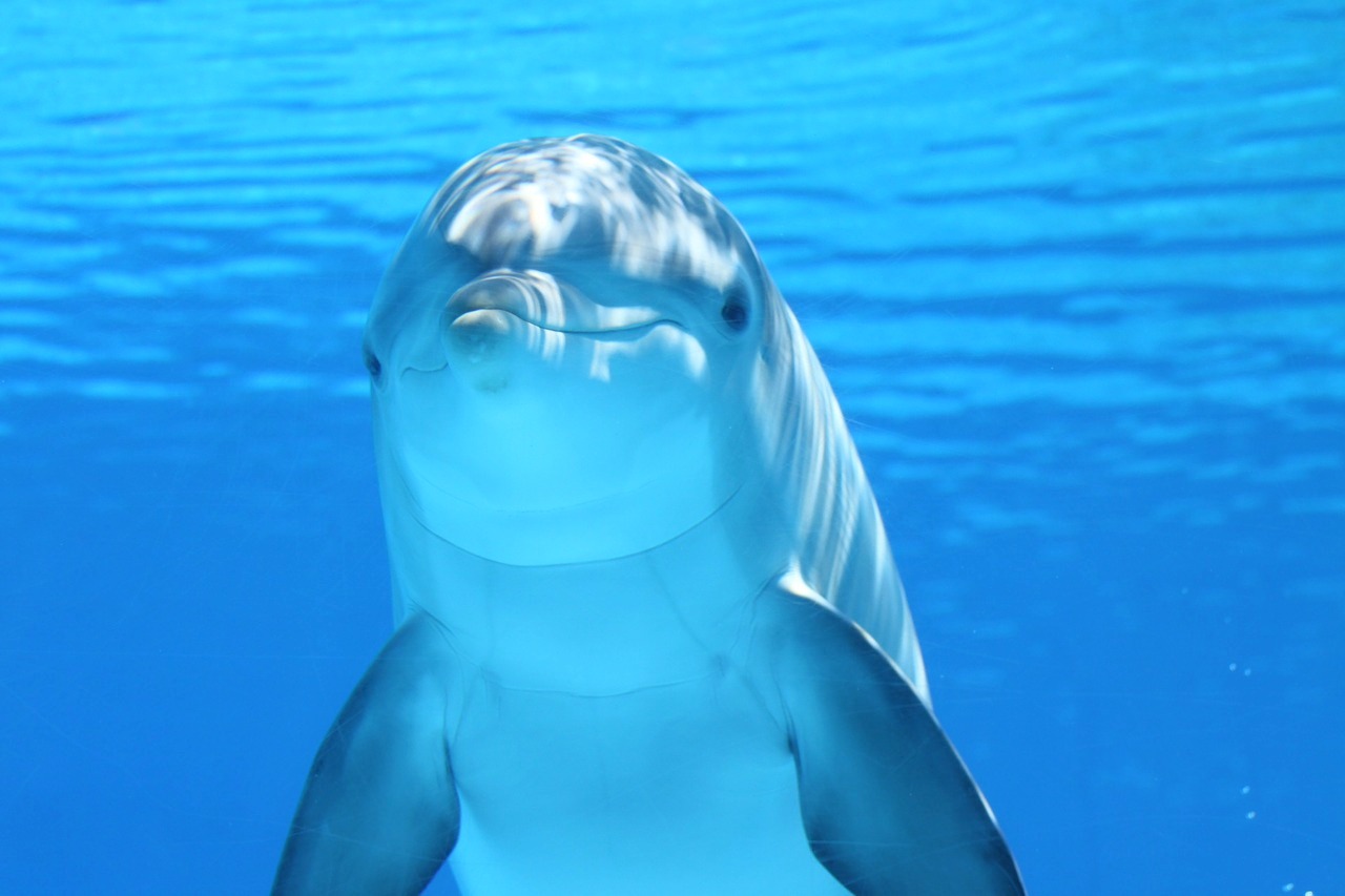 FOOD AND LIFESTYLE THE HITCHHIKER'S GUIDE TO THE GALAXY