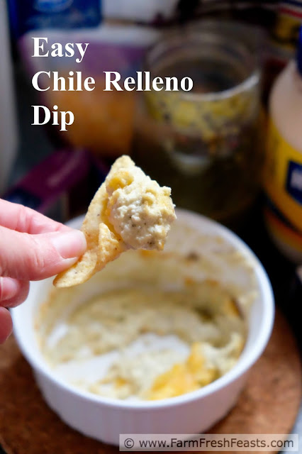 This hot, spicy, cheesy vegetarian dip has the flavor of a cheese-stuffed pepper without all the fuss. Salsa verde provides the heat in a smooth dip great for parties and game day snacking.