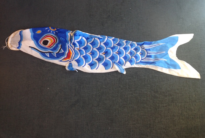 Education Pitt Make and Take a Carp Kite Family Activities