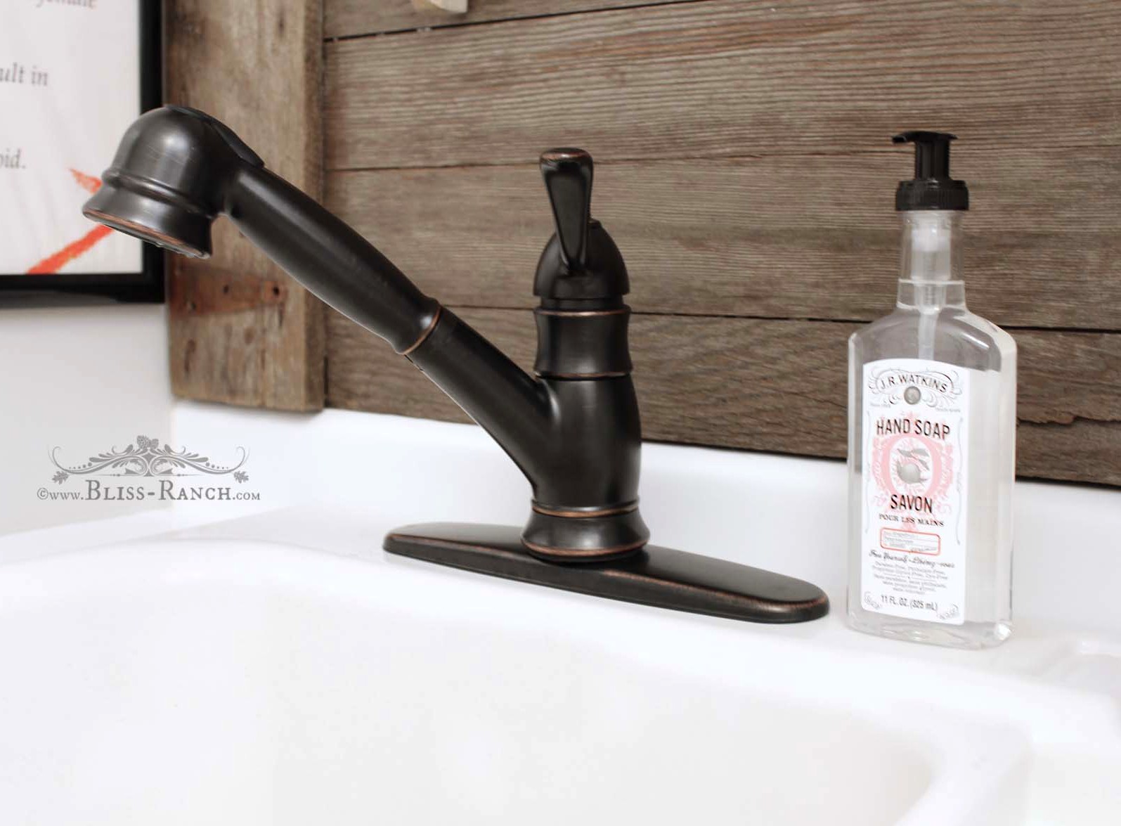 Bliss Ranch Pfister Laundry Room Faucet