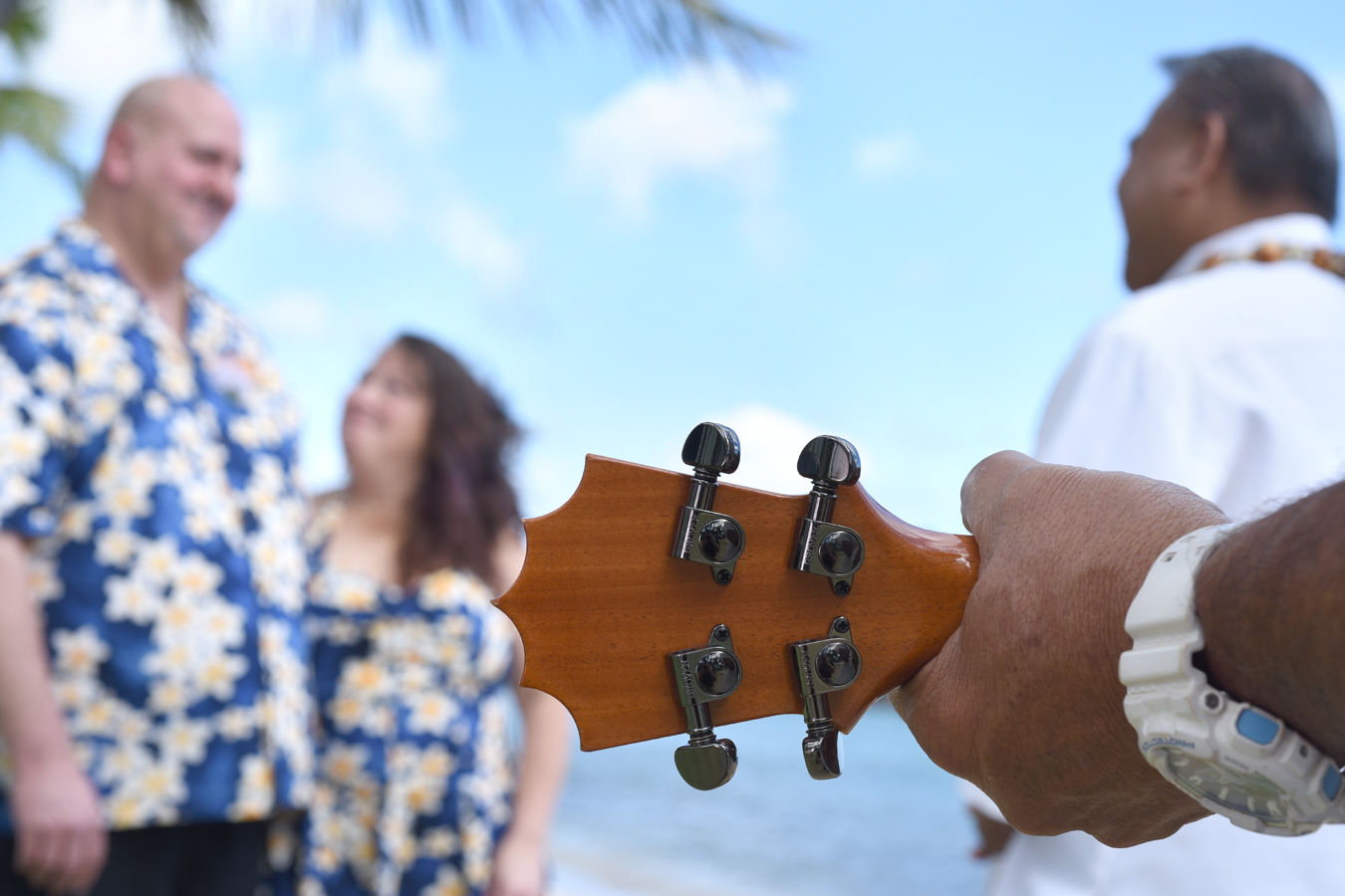 Hawaii Wedding Vendors Ukulele Music
