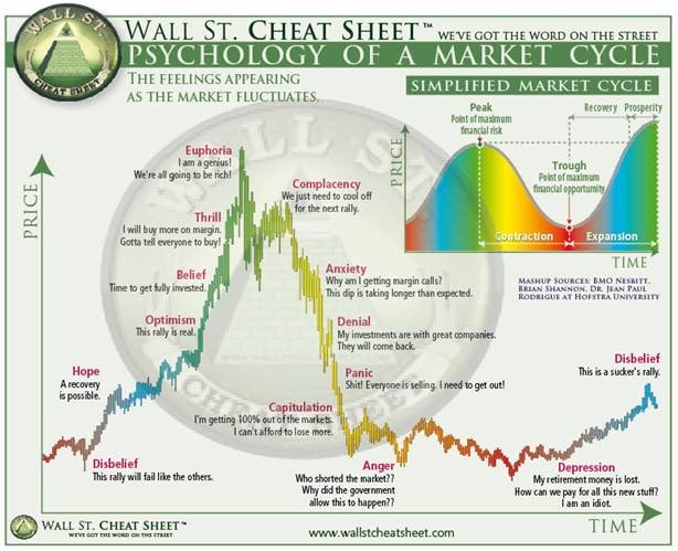 Isabel nogales forex