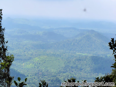 Picture%2B189.jpg