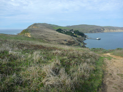 Eastern spur of the Point Reyes headlands
