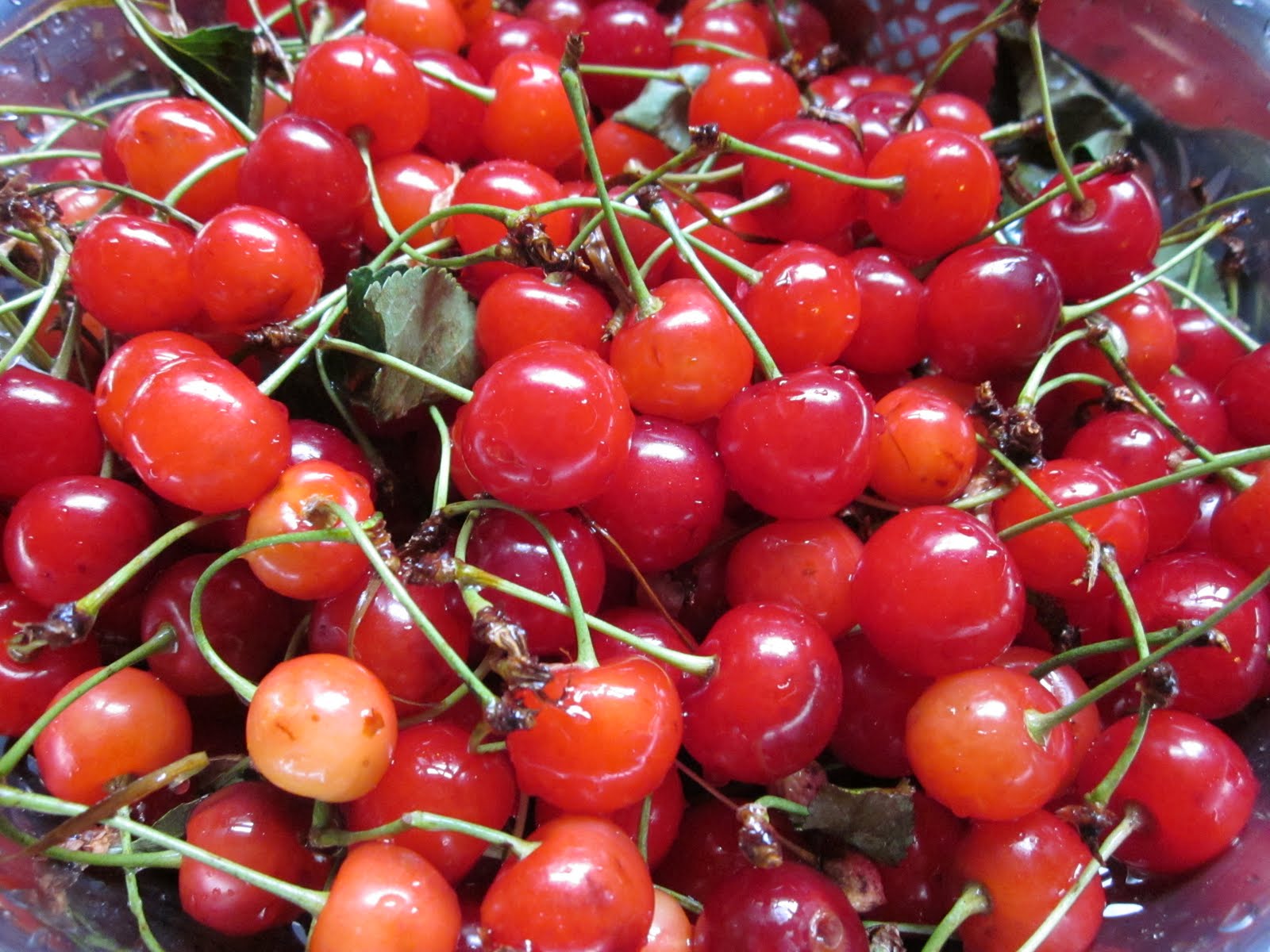 Feasty Geeks Summertime Stonefruit Cherries!