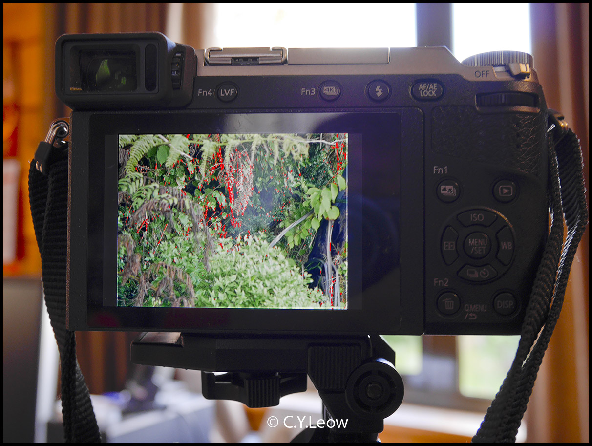 Man Behind Lens: LUMIX GX85 with MF PRIME LENS