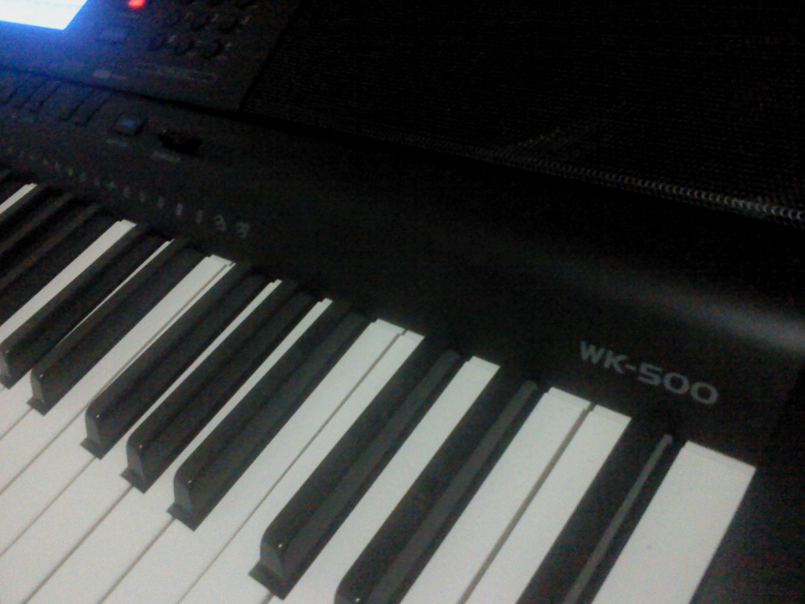 blog vinyvin: Casio WK 500 review