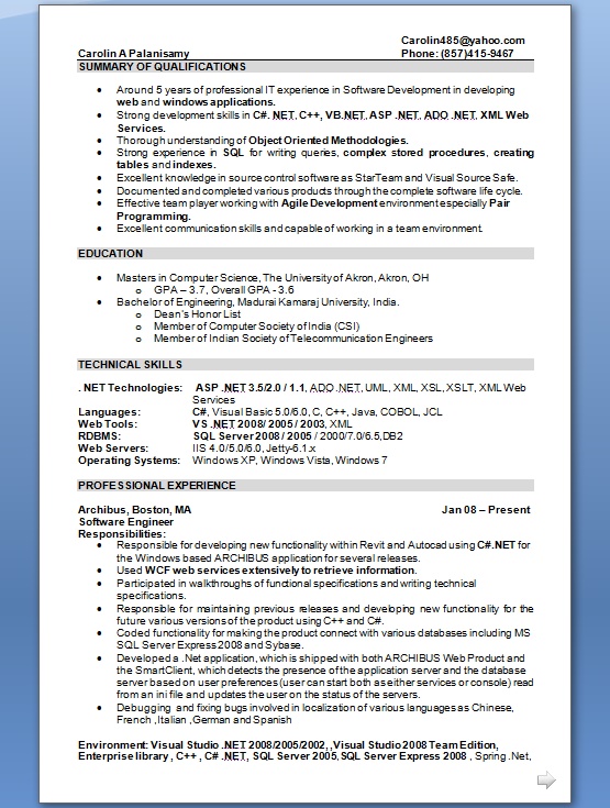 resume headline examples for experienced software engineer