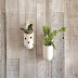 DIY Crafts 6 Model Hanging Plants Untuk Taman Kecil Di Rumah Anda