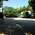 1224/1000 北水前寺公園(熊本市中央区)