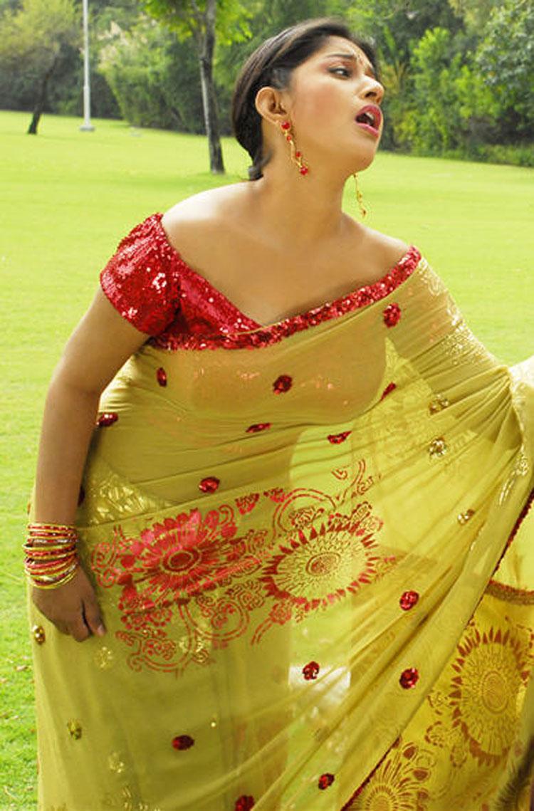 Hot Saree Blouse Navel Show Photos Side View Back Pics Below Navel Hot Actress In Saree Blouse