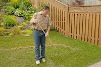 Lawn Thatching