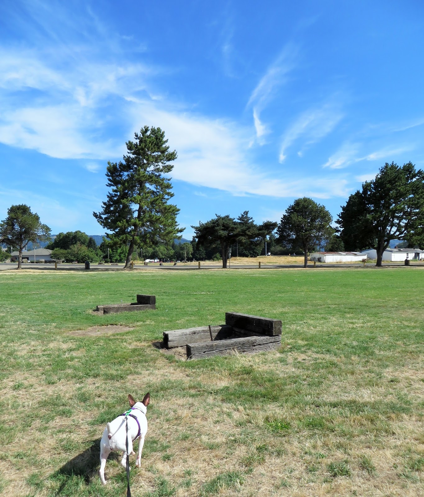 Out & About Horseshoe Lake Park