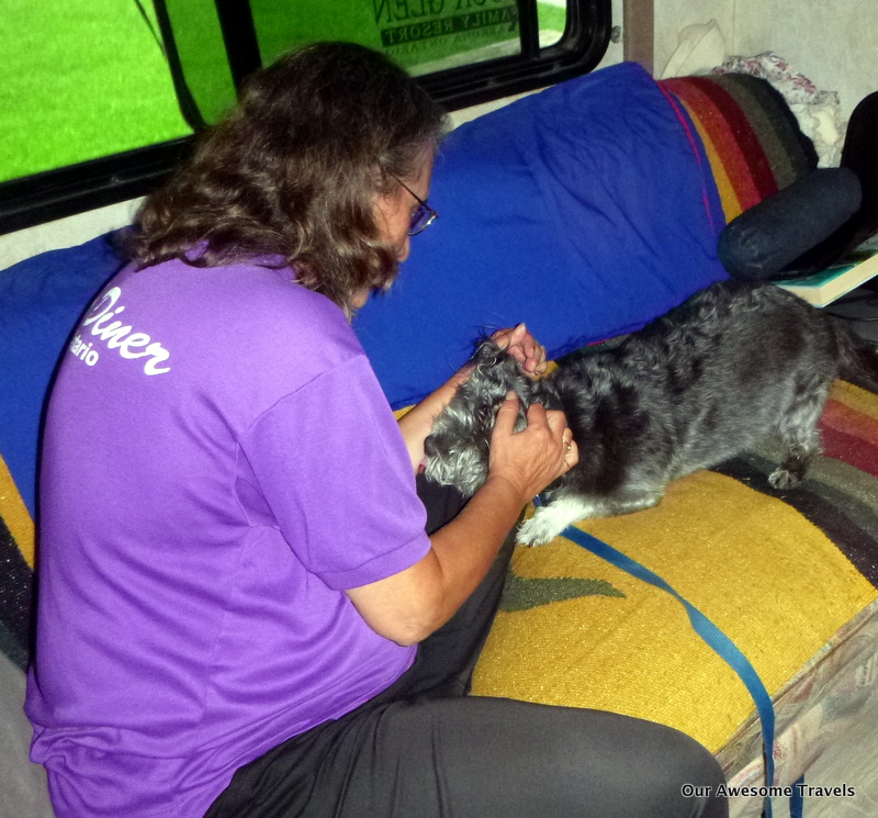 Our Awesome Travels Huron County Playhouse II Grand Bend Ontario