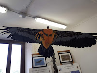 Museo del Gipeto - Riproduzione in legno