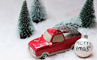 Christmas Tree Images Christmas Tree Images