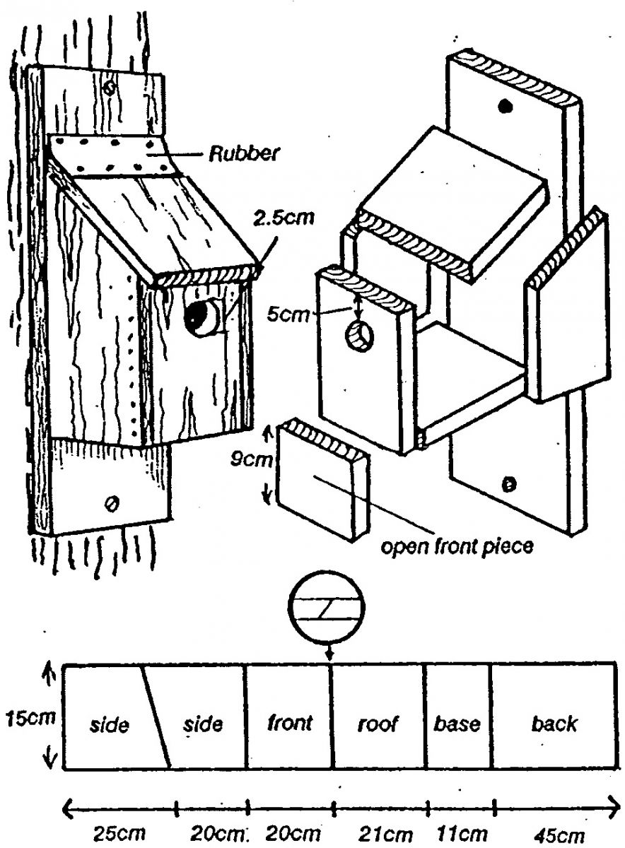 Bird In Everything Bird Nesting Box Plans