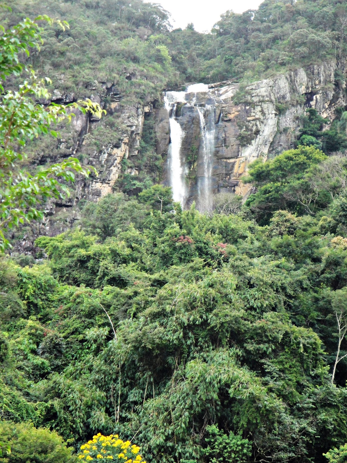 Primotur Turismo Receptivo: Cachoeira do Macuco!