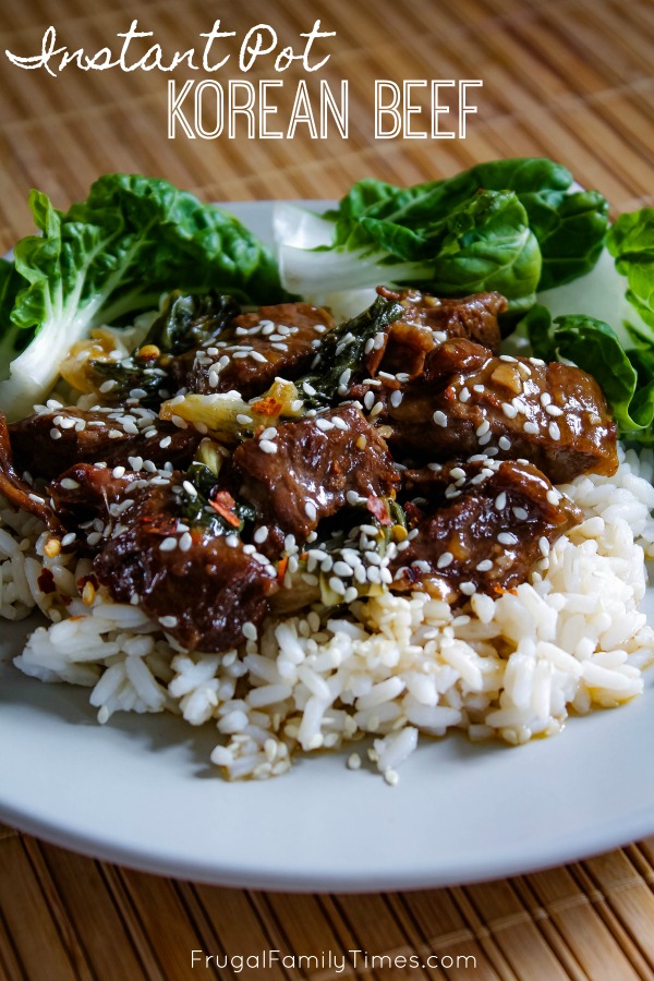 instant pot dump recipes korean beef