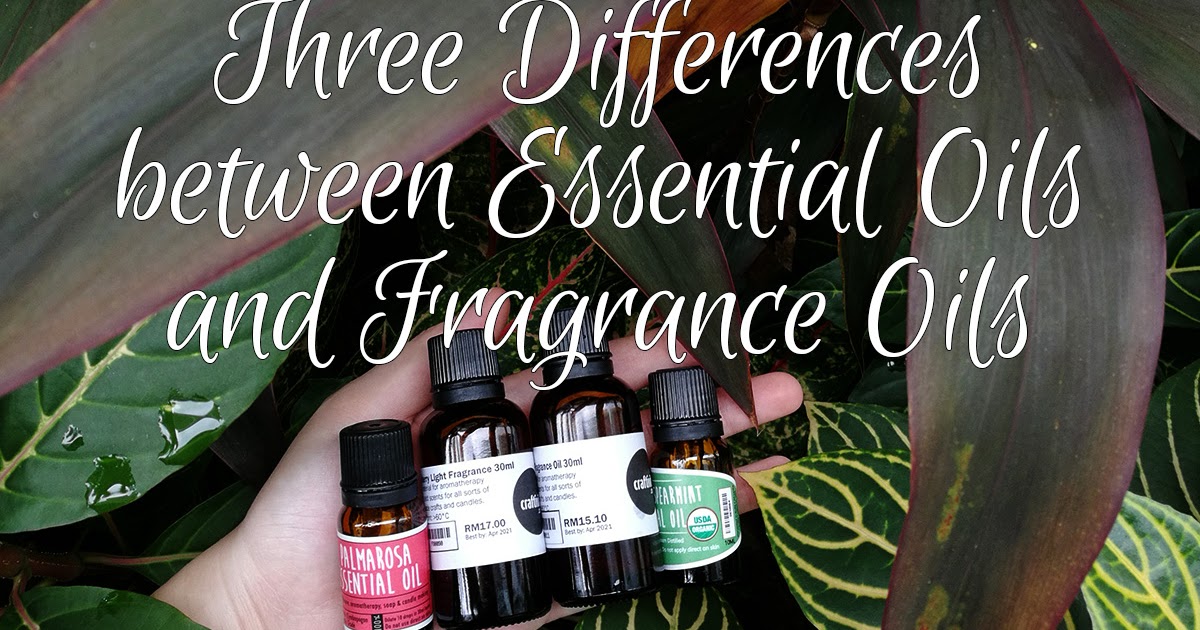craftiviti Three Differences between Essential Oils and Fragrance Oils