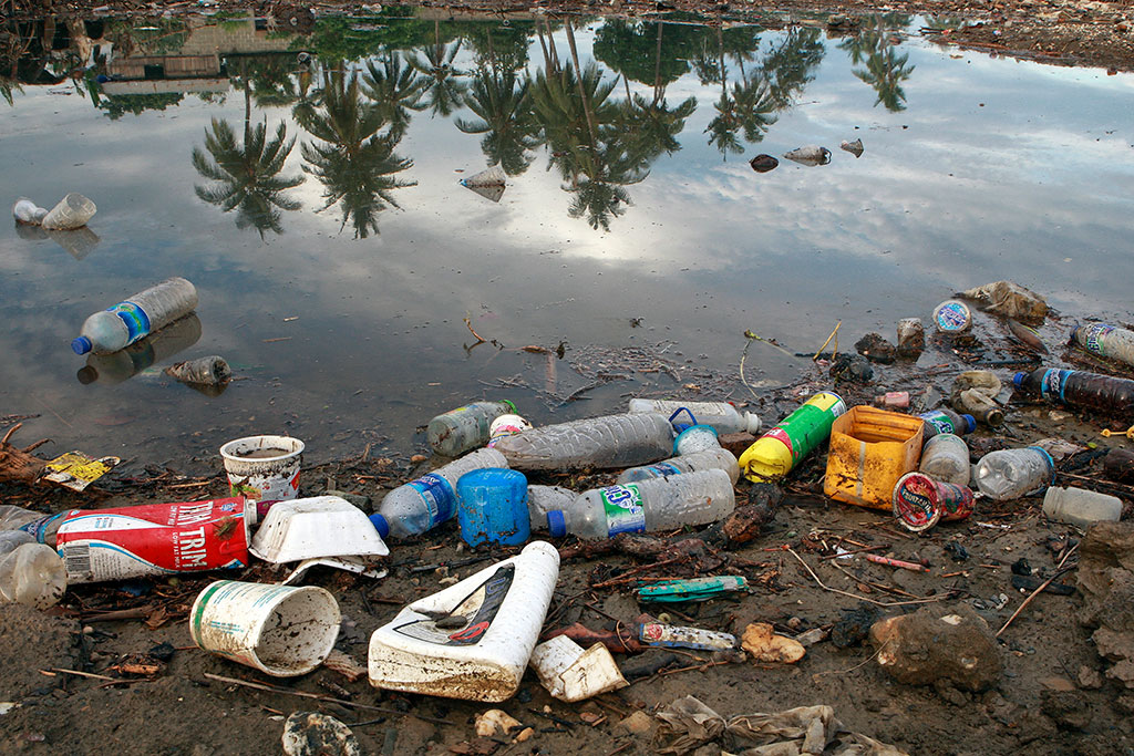 Fundación Alfa Omega MC En 2050 habrá más plásticos que peces en los Fundación Alfa Omega MC En 2050 habrá más plásticos que peces en los