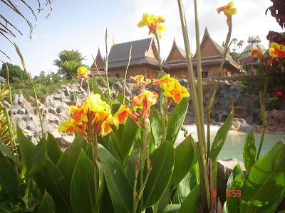 Siam Park Teneriffa