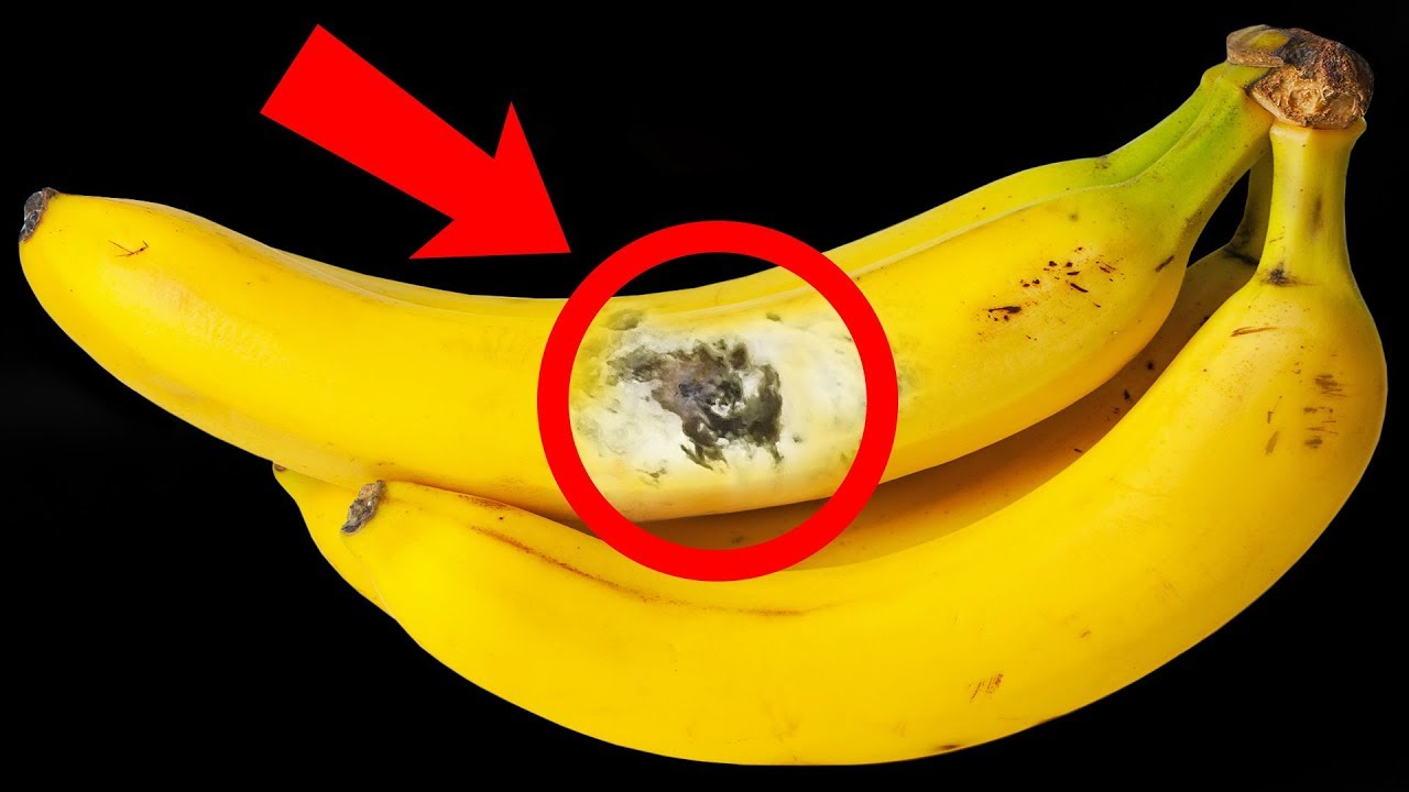 If You Are Banana Lover Read These 10 Shocking Facts (No.6 Is Very