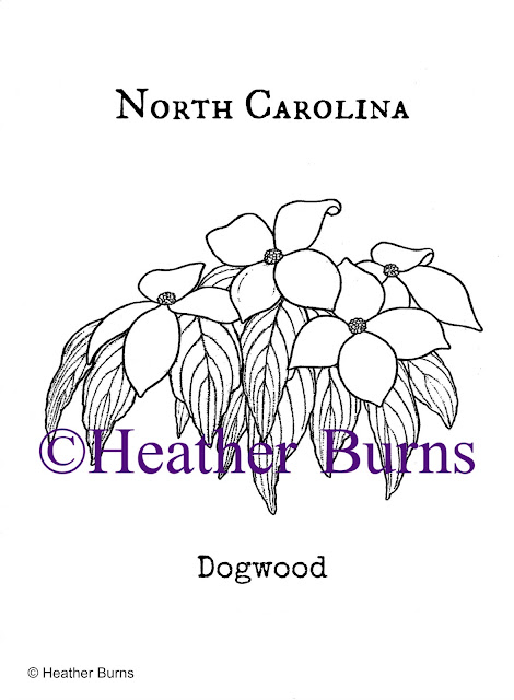 State Flower Coloring Book: North Carolina State Flower: Dogwood