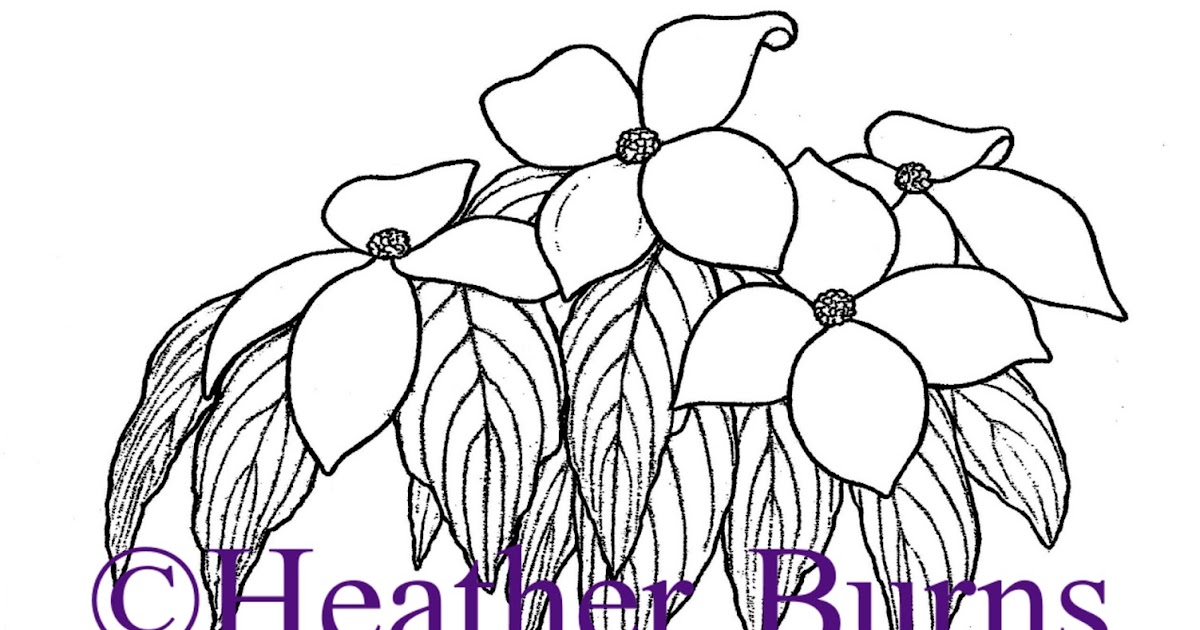 State Flower Coloring Book: North Carolina State Flower: Dogwood