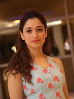 Tamanna at Bengal Tiger Sucessmeet-cover-photo
