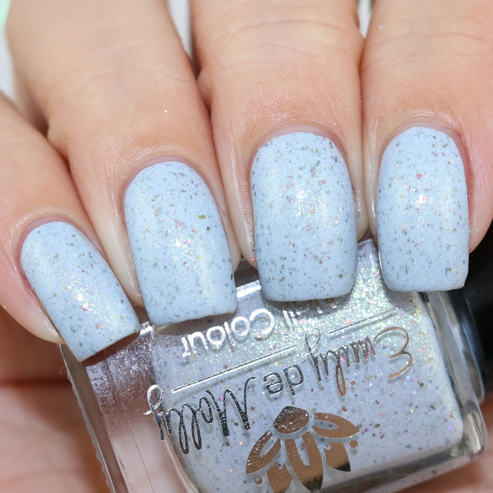 Emily de Molly Flecked Division swatched by Olivia Jade Nails